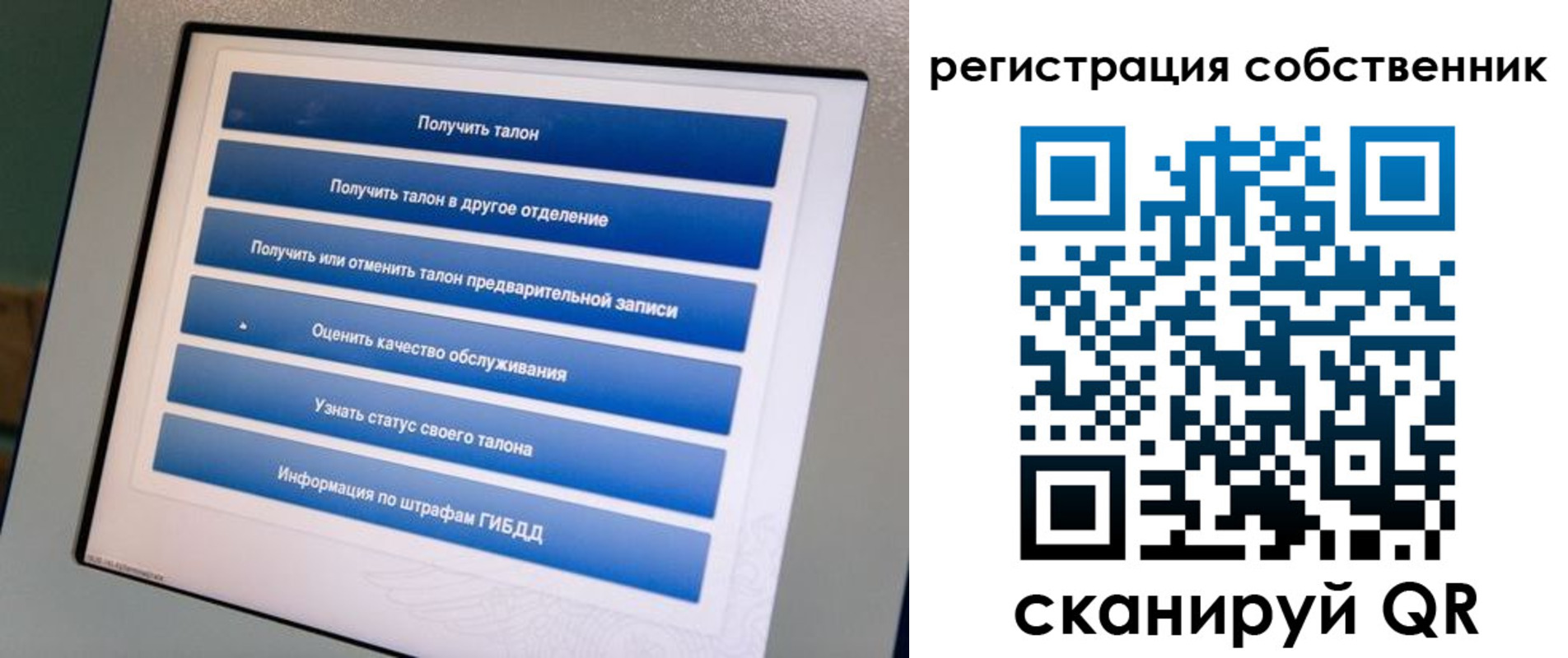 временная регистрация в Курске